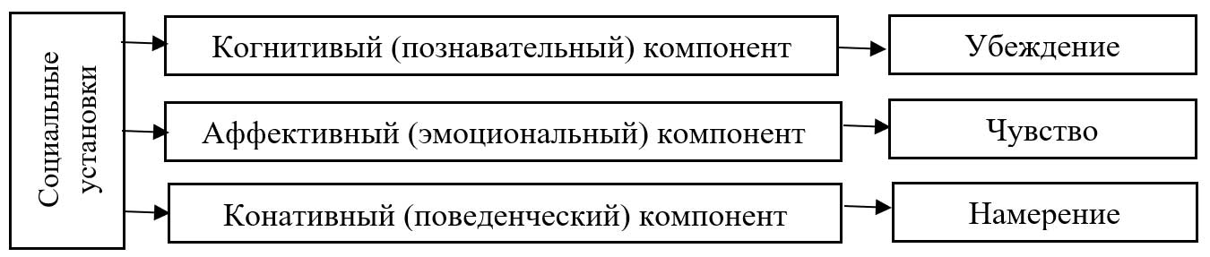 Компоненты социальной установки