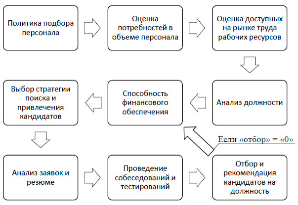 Процесс подбора и отбора и набора персонала