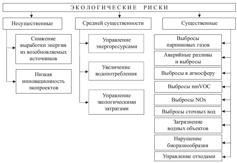 Классификация экологических рисков нефтегазовых организаций по степени существенности